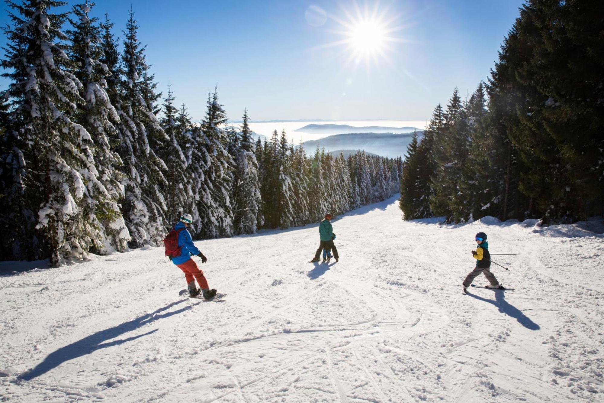 Drei Tannen - Wohnung 12 - Apartmenthaus, Titisee, Nahe Badeparadies 외부 사진